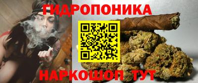 скорость Кимры